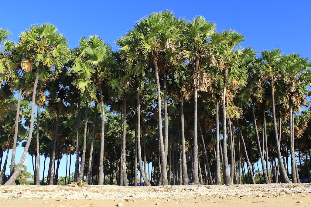 Batu Nona Beach: Pesona Pantai di Kupang